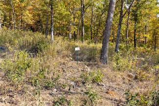 Lot 16 Peaceful Place, Harrison, AR 72601