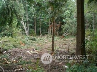 47 Lot Puget Loop, Port Ludlow, WA 98365