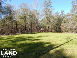0 Broad Branch Rd, Chunchula, AL 36521