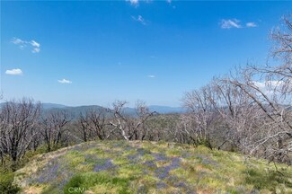 39 Acres Buckingham Mountain Rd, Mariposa, CA 95338