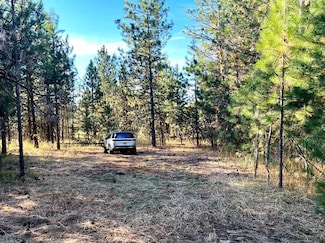 0 Elo Rd, McCall, ID 83638
