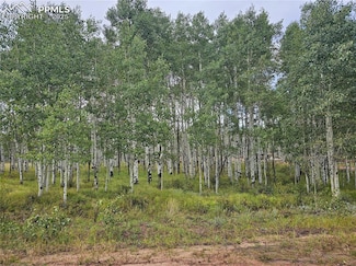 455 Aspen Way Dr, Florissant, CO 80816