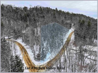 Lot 30 Bell Valley Rd, Campton, NH 03223