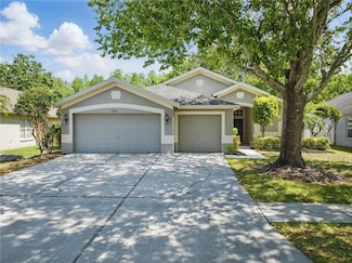 19713 Ellendale Dr, Land O Lakes, FL 34638