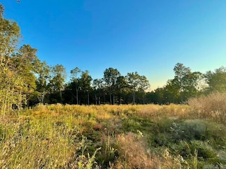 3.71 acres Randolph County, Imboden, AR 72434