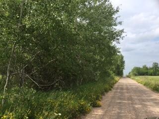 80 Acres S Maple Rd, Dafter, MI 49724