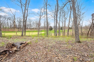 118 Summer Grace Ln, Weldon Spring, MO 63304
