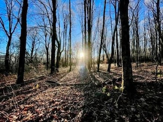 00 Town Line Rd, McGraw, NY 13101