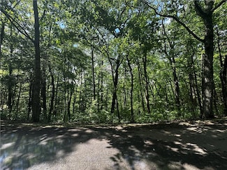 Lot 14 Oceola Dr, Ellijay, GA 30540