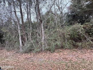 97175 Dr, Diamondhead, MS 39525