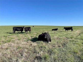 0 County Road 125 Unit 1 REC9329332, Deer Trail, CO 80105