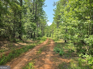 0 Faulkner Rd Unit LOT 4 10468618, Monticello, GA 31064