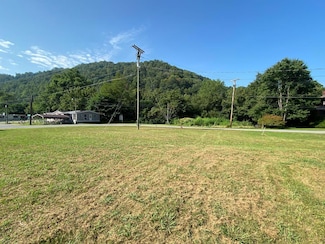 101 Nolan St, Williamson, WV 25661