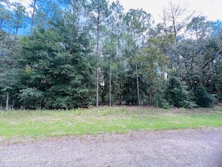 8681 N Wallingford Ave, Citrus Springs, FL 34434
