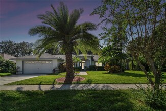 16504 Cayman Dr, Tampa, FL 33624