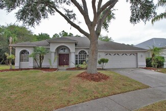 10028 Colonnade Dr, Tampa, FL 33647