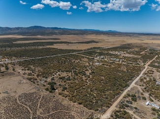 58650 Wellman Rd, Anza, CA 92539