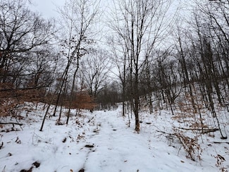 0 Woodland Dr Unit 22264785, Cadillac, MI 49601