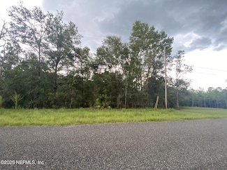 4451 Witch Hazel Rd, Middleburg, FL 32068