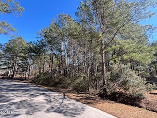 102 Seattle Slew Dr, Cherry Branch, NC 28532
