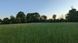14597 Oatman Hill Rd, Rising Sun, IN 47040