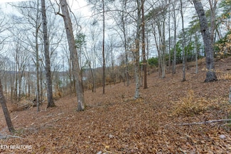 0 Islandview Cir Unit 1244735, Sharps Chapel, TN 37866