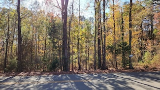 2229 Old Cherokee Rd Unit LOT 4, Lexington, SC 29072