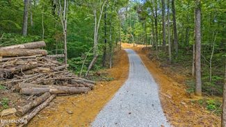 168 Beulah Rd, Tellico Plains, TN 37385