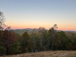 0 Georges Run Rd, Shawsville, VA 24162