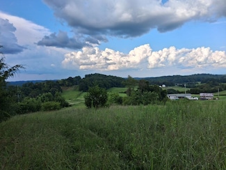 0 Irish Cut Unit 708685, Newport, TN 37821