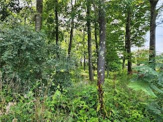 0 Kentview Dr, Carmel, NY 10512