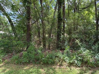 4229 S Canton Terrace, Inverness Highlands South, FL 34452