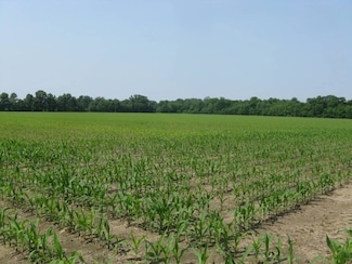 0000 S County Road 125 E, Harrison Township, IN 47841