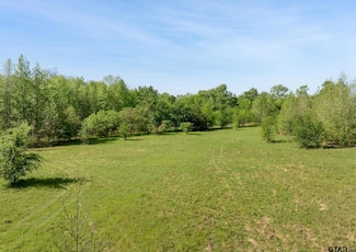 1000 County Road 1226, Quitman, TX 75783