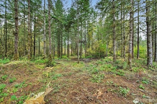 131 Kuty Dr, Toledo, WA 98591