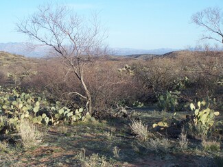 N 20 Acres E Vanessa Way, Oracle, AZ 85623