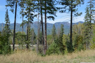 309 Rock Ridge Rd, Whitefish, MT 59937