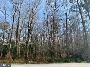 0 Bypass Rd Unit MDWO2026860, 1, Pocomoke, MD 21851