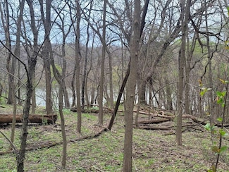 4 Waterford Dr, Galena, IL 61036