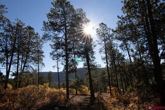 56 Red Canyon Trail, Durango, CO 81301