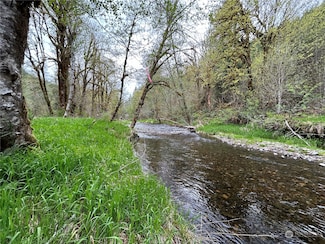 0 Lot 1 Abernathy Creek Rd, Longview, WA 98632