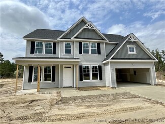 305 Pinnacle Ct, Five Points, NC 28376