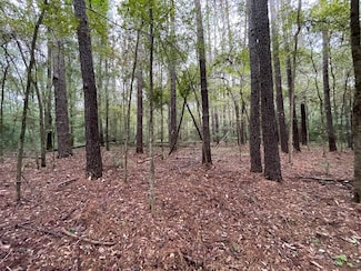 0 Methodist Home Rd, Jackson, MS 39213
