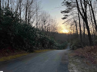 127 Conifer Falls Rd, Cleveland, SC 29635