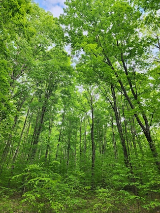 10 acres Wildwood Ct Unit 10 acres, Mancelona, MI 49659