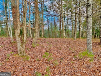 0 Hawks View, Morganton, GA 30559