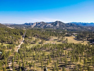 12175 Buckhorn Estates Dr, Custer, SD 57783