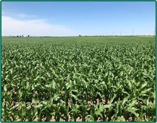 0 250th Ave, Dewitt, IA 52742