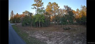 6599 N Varsity Ave, Citrus Springs, FL 34434