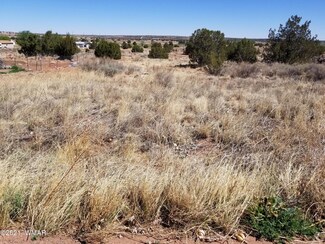 LOT 33 Ridgeview, Snowflake, AZ 85937